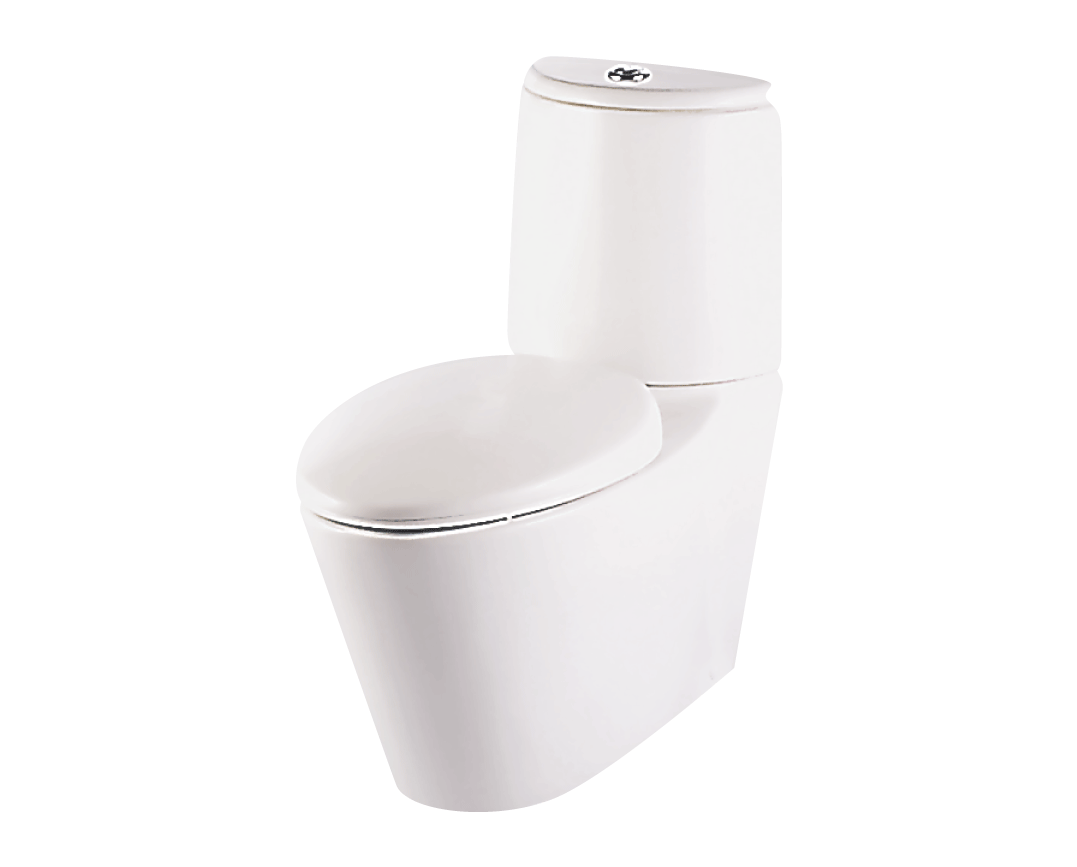 Bồn cầu 2 khối - FOCUS STAR S-1317.1 / WT