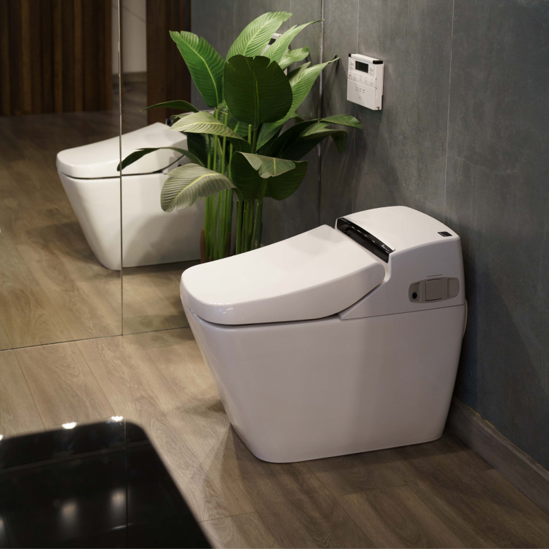 Bộ bồn cầu nắp điện tử &amp; Bảng điều khiển từ xa VOVO PB 707S