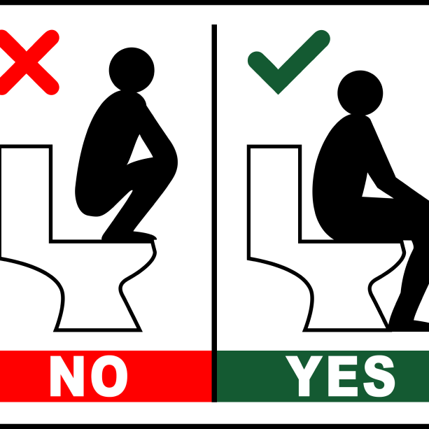 cau-tao-bon-cau-ngoi-ava